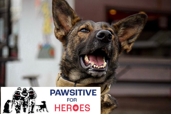 Pawsitive for Heroes